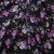 Плательная ткань "Фламенко" 20.1, 80 гр/м2, шир.150 см, принт растительный - купить в Волгодонске. Цена 241.49 руб.