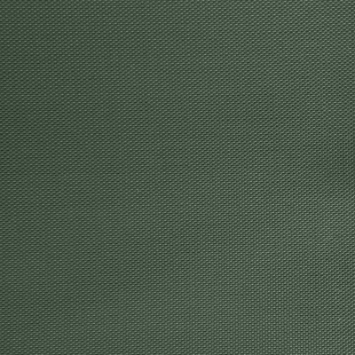 Оксфорд (Oxford) 240D 19-5917, PU/WR, 115 гр/м2, шир.150см, цвет т.зелёный - купить в Волгодонске. Цена 152.54 руб.
