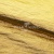 Текстильный материал "Диско"#1805 с покрытием РЕТ, 40гр/м2, 100% полиэстер, цв.5-золото - купить в Волгодонске. Цена 412.36 руб.