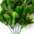 Трава искусственная -1, шт (эвкалипт лист 32 см/8 см)				 - купить в Волгодонске. Цена: 169.93 руб.