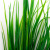 Трава искусственная -2, шт (осока 41см/8 см)				 - купить в Волгодонске. Цена: 104.57 руб.