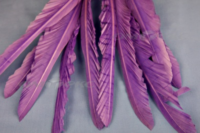 Декоративный Пучок из перьев, перо 25см/фиолетовый - купить в Волгодонске. Цена: 12.19 руб.