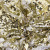 Трикотажное полотно, Сетка с пайетками, шир.130 см, #315, цв.-белый/золото - купить в Волгодонске. Цена 693.39 руб.