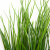 Трава искусственная -4, шт  (осока 50 см/8 см  7 листов)				 - купить в Волгодонске. Цена: 130.73 руб.