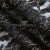 Кружевное полотно XD LACE 1-4, 80 гр/м2, шир.150см, цвет чёрный - купить в Волгодонске. Цена 245.94 руб.